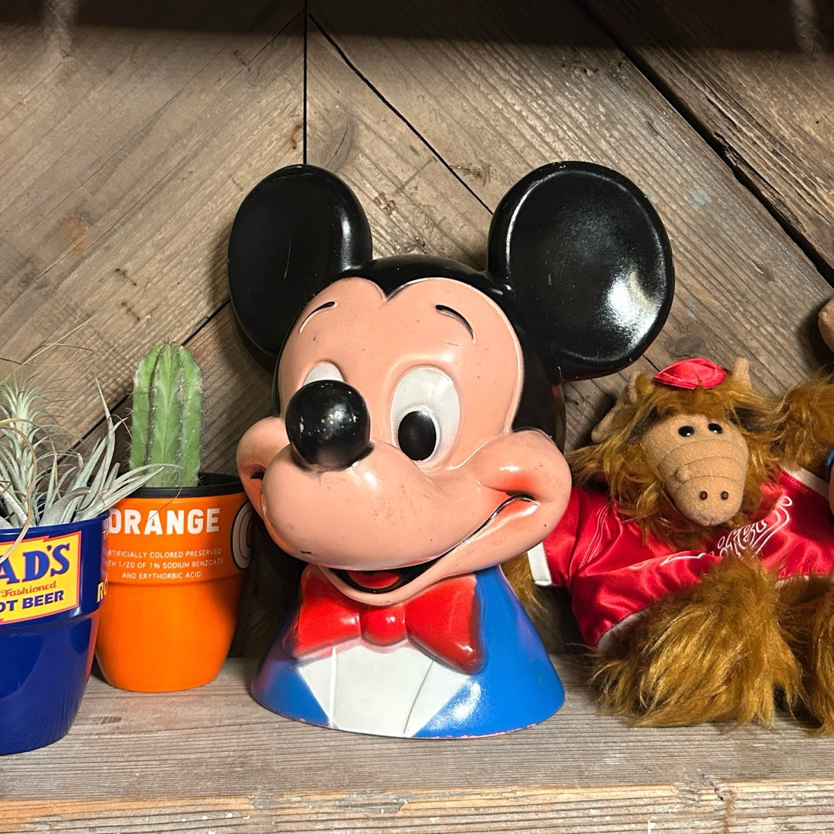 Disney【US限定】 – WONDER YARD