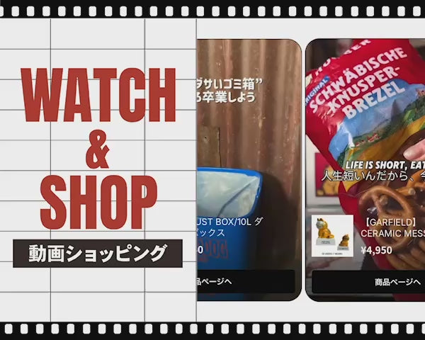 動画を読み込む：